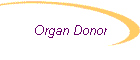 Organ Donor